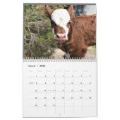 2023 Cow Calendar Kalender (Mär 2026)