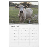 2023 Cow Calendar Kalender (Feb 2026)