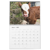 2023 Cow Calendar Kalender (Mär 2027)
