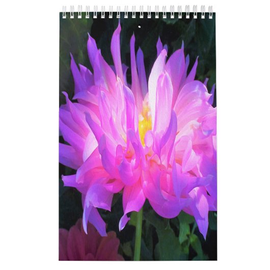 2023 Dahlia-Blume Kalender (Titelbild)
