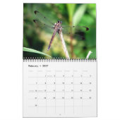 2023 Dragonfly-Wall-Kalender Kalender (Feb 2027)