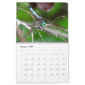 2023 Dragonfly-Wall-Kalender Kalender (Jan 2027)
