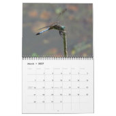 2023 Dragonfly-Wall-Kalender Kalender (Mär 2027)