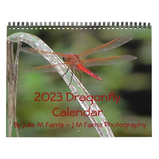 2023 Dragonfly-Wall-Kalender Kalender (Titelbild)
