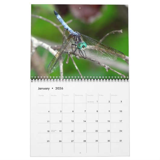 2023 Dragonfly-Wall-Kalender Kalender (Jan 2026)