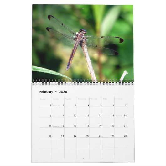 2023 Dragonfly-Wall-Kalender Kalender (Feb 2026)