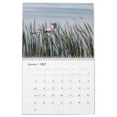 2023 Egrets & Herons-Kalender Kalender (Jan 2027)