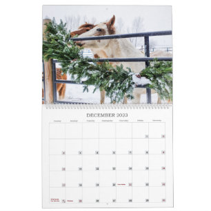 2023 - Ein Michigan Mustang Year Calendar Kalender