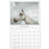2023 - Ein Michigan Mustang Year Calendar Kalender (Jan 2026)