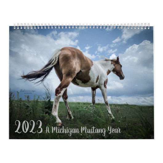 2023 - Ein Mustang-Jahr in Michigan Kalender (Titelbild)