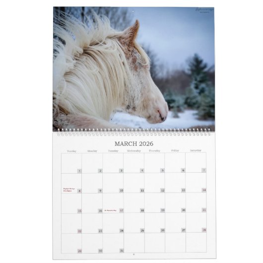 2023 - Ein Mustang-Jahr in Michigan Kalender (Mär 2026)