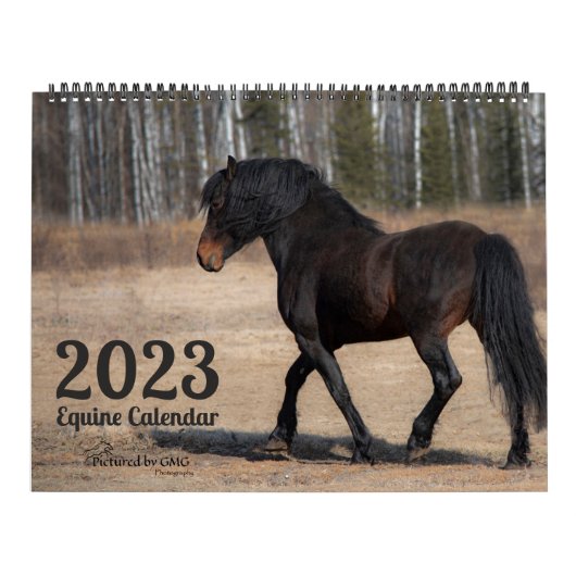 2023 Equine Photo Calendar Kalender (Titelbild)