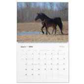 2023 Equine Photo Calendar Kalender (Mär 2026)