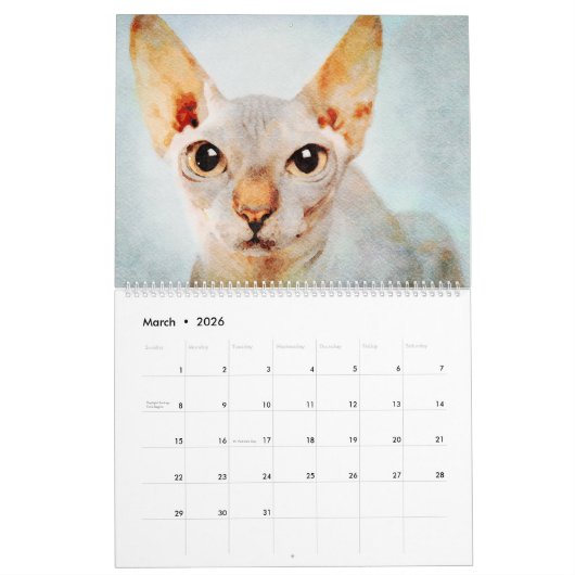 2023 Frischköpfe Sphynx Katzenbesitzer Geschenk Kalender (Mär 2026)