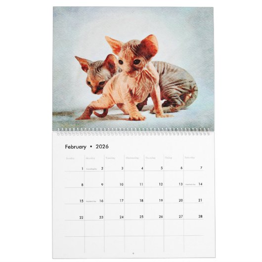 2023 Frischköpfe Sphynx Katzenbesitzer Geschenk Kalender (Feb 2026)