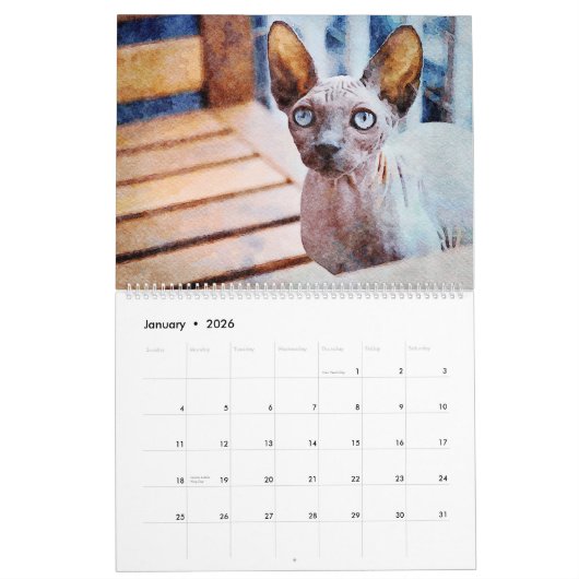 2023 Frischköpfe Sphynx Katzenbesitzer Geschenk Kalender (Jan 2026)