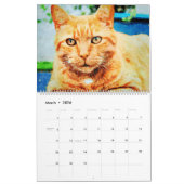 2023 Ginger Tabby Cat Lover Eigentümer Marmalade C Kalender (Mär 2026)