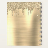 2023 Gold Glitzer Sparkle Modernes Monogramm Planer (Rückseite)