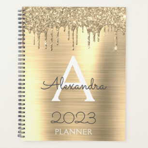 2023 Gold Glitzer Sparkle Modernes Monogramm Planer