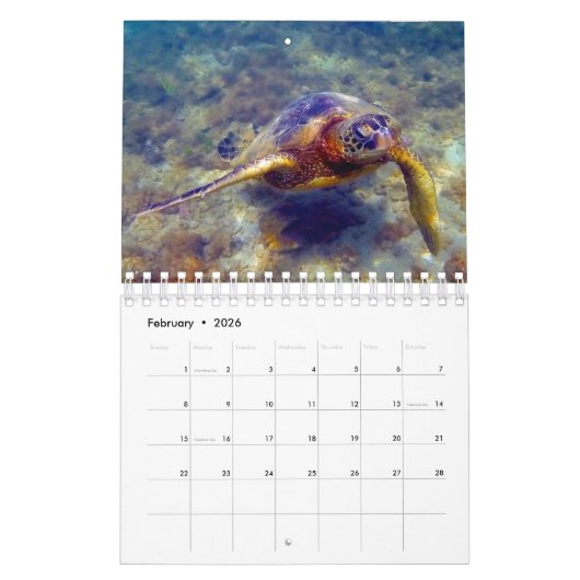 2023 Hawaiian Honu Green Sea Turtles Calendar Kalender (Feb 2026)