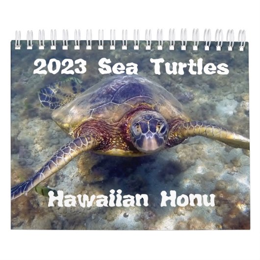 2023 Hawaiian Honu Green Sea Turtles Calendar Kalender (Titelbild)