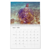 2023 Hawaiian Honu Green Sea Turtles Calendar Kalender (Mär 2026)
