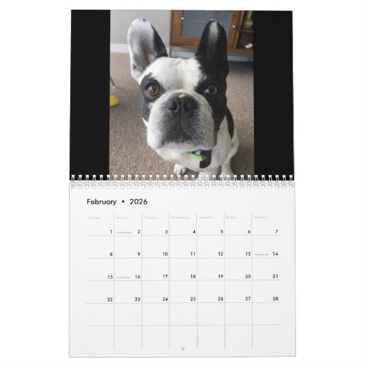 2023 Ihr Bubba-Kalender Kalender (Feb 2026)