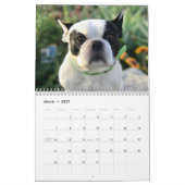 2023 Ihr Bubba-Kalender Kalender (Mär 2027)