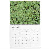 2023 KALENDER (Mär 2027)