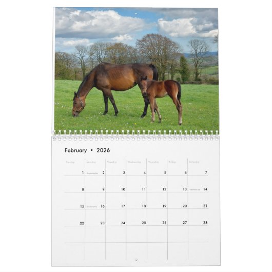 2023 Kalender Durcheinander gezüchtete Mares and F (Feb 2026)
