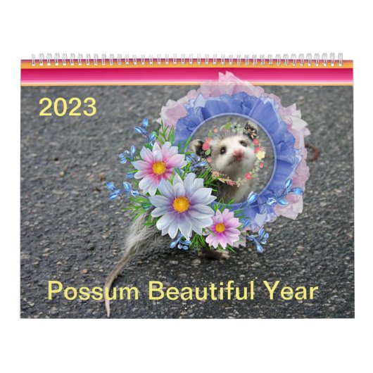 2023 Kalender farbenfroher Frosch Opossum (Titelbild)