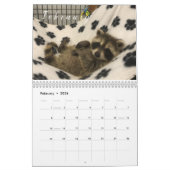 2023 Kalender Raccoons of Gordon Wildlife (Feb 2026)