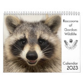 2023 Kalender Raccoons of Gordon Wildlife (Titelbild)