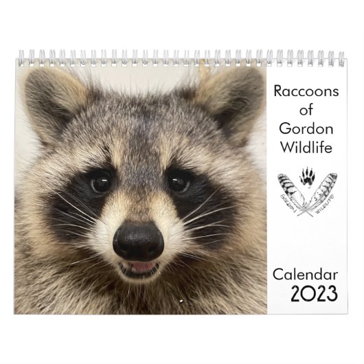 2023 Kalender Raccoons of Gordon Wildlife (Titelbild)