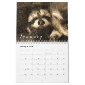 2023 Kalender Raccoons of Gordon Wildlife (Jan 2026)