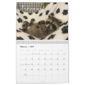 2023 Kalender Raccoons of Gordon Wildlife (Feb 2027)