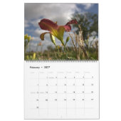 2023 Lily Garden Kalender (Feb 2027)
