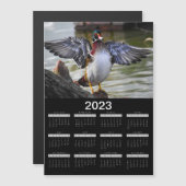 2023 Magnet Kalender Schöne Holzente (Vorne/Hinten)