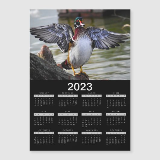 2023 Magnet Kalender Schöne Holzente (Vorderseite)