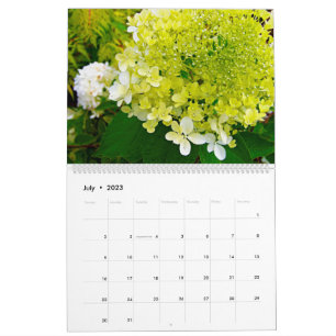 2023 Mein Rubio Garden Elegant Hydrangeas Kalender