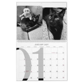 2023 Moderner Katzenkalender Kalender (Jan 2027)