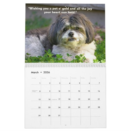 2023 Niedlicher & Adorable Hunde-Kalender Kalender (Mär 2026)