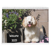 2023 Niedlicher & Adorable Hunde-Kalender Kalender (Titelbild)