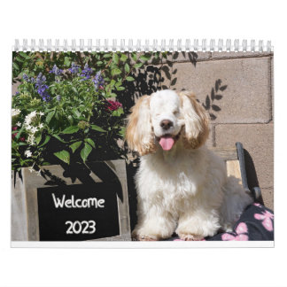 2023 Niedlicher & Adorable Hunde-Kalender Kalender