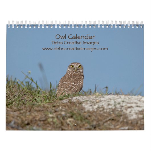 2023 Owl Kalender (Titelbild)