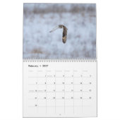 2023 Owl Kalender (Feb 2027)