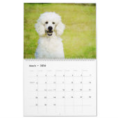 2023 Poodle-Hunde Wasserfarben-Doodles-Malgeschenk Kalender (Mär 2026)
