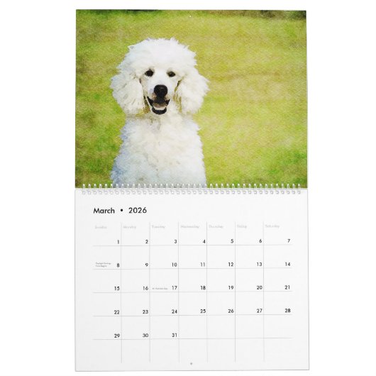 2023 Poodle-Hunde Wasserfarben-Doodles-Malgeschenk Kalender (Mär 2026)