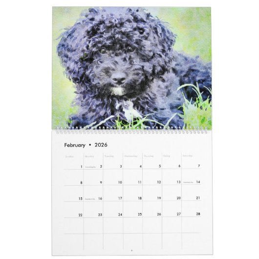 2023 Poodle-Hunde Wasserfarben-Doodles-Malgeschenk Kalender (Feb 2026)