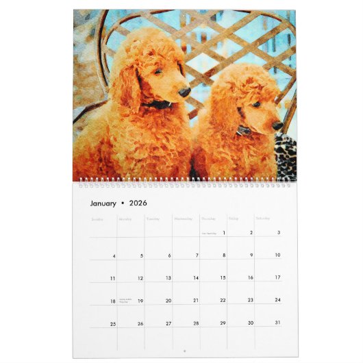 2023 Poodle-Hunde Wasserfarben-Doodles-Malgeschenk Kalender (Jan 2026)